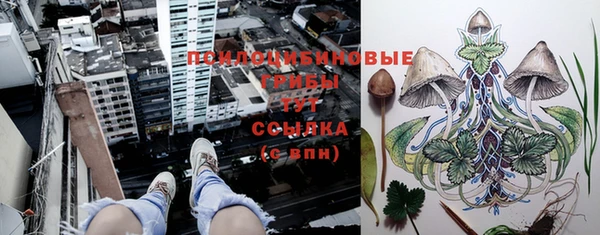 тгк Аркадак