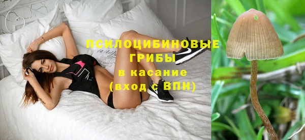 ешки Арсеньев